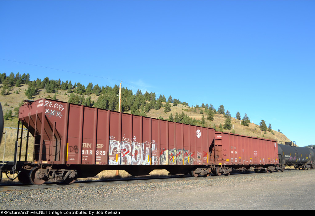 BNSF 808329